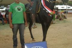 CEBQMBIOJUGCCF2U51EN