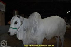 ISI09BUJCCEEIPJ8GYXW
