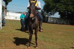TAR7T2DWELBM2KPP77YT