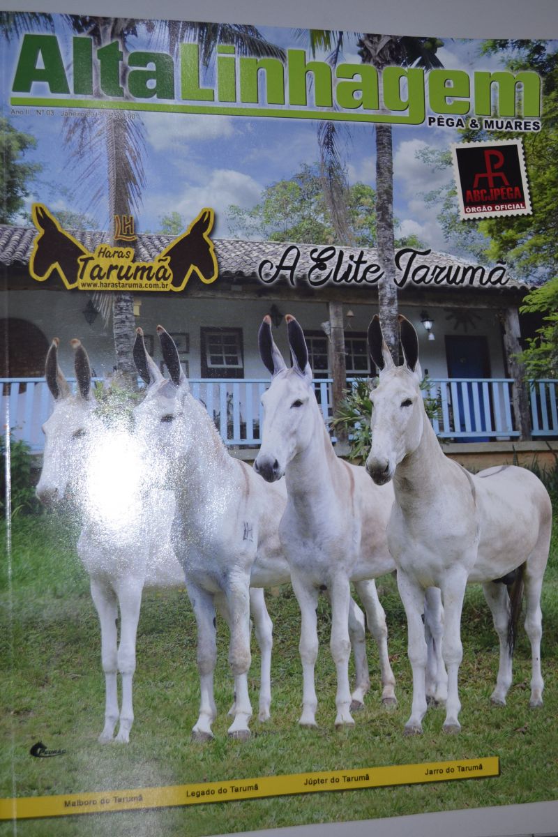 Revista Alta Linhagem destaca Alex Andel entre os melhores locutores e organizadores de eventos equestres do Brasil